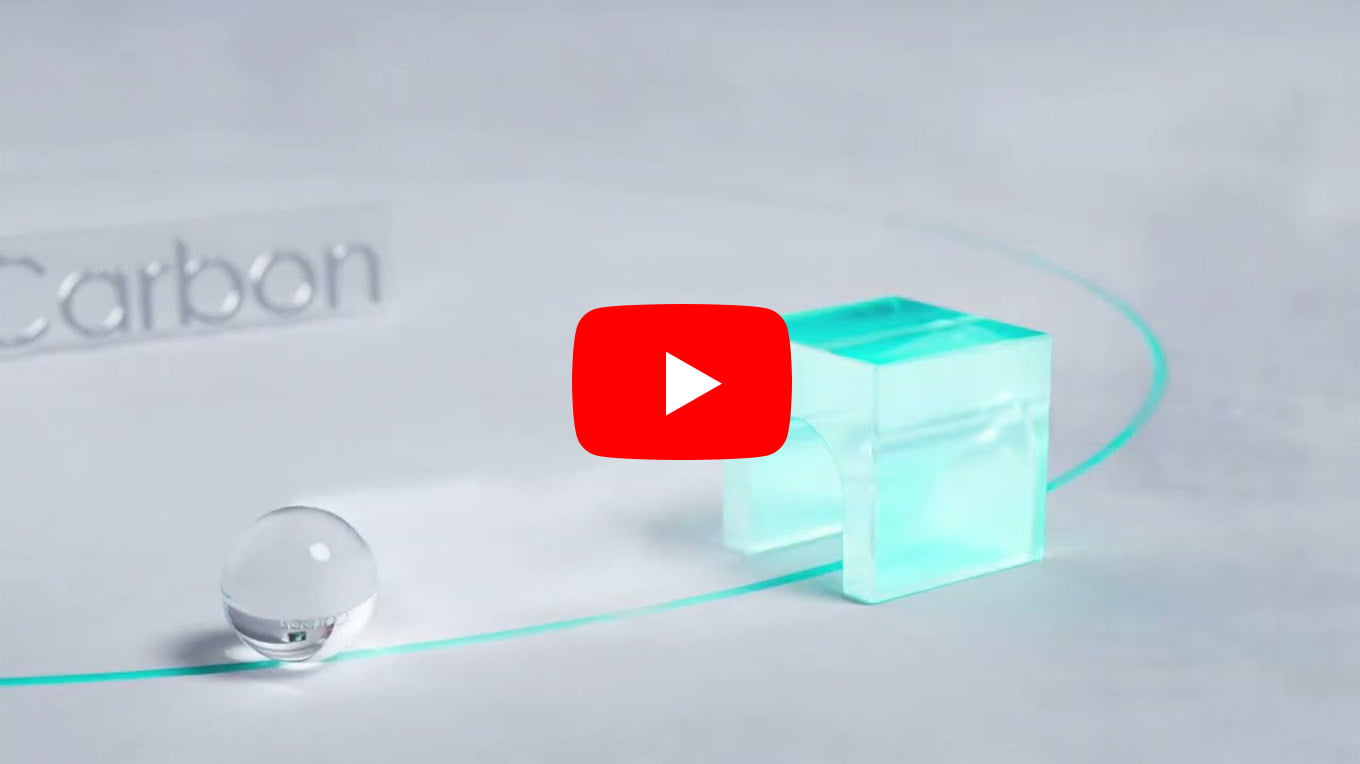 Shinka = 真価 / Vision <2025> (2 minutes 28 seconds)
