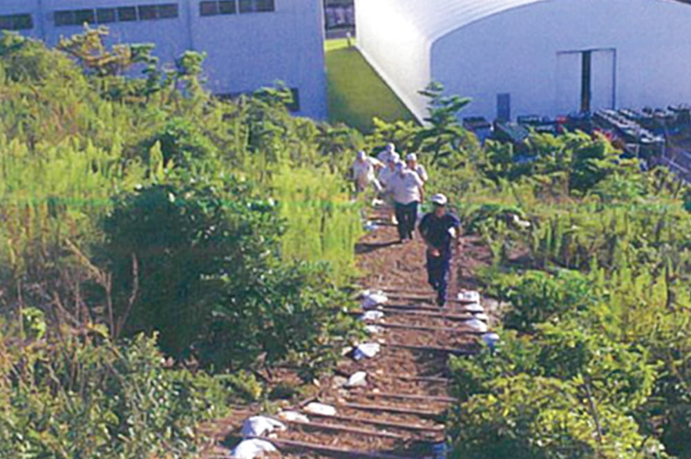 Disaster countermeasures in collaboration with the government (evacuation stairs)